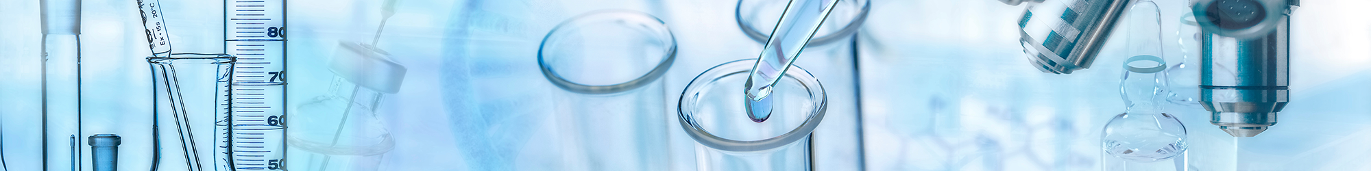 【野口賞】の応募・推薦要領